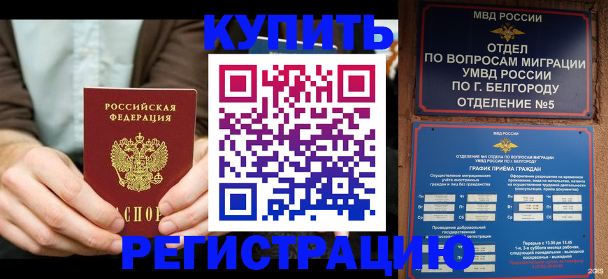 прописка 2025 в Губкинском